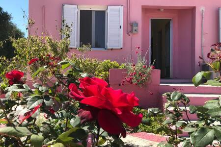 Вилла Pink House Песада Экстерьер фото